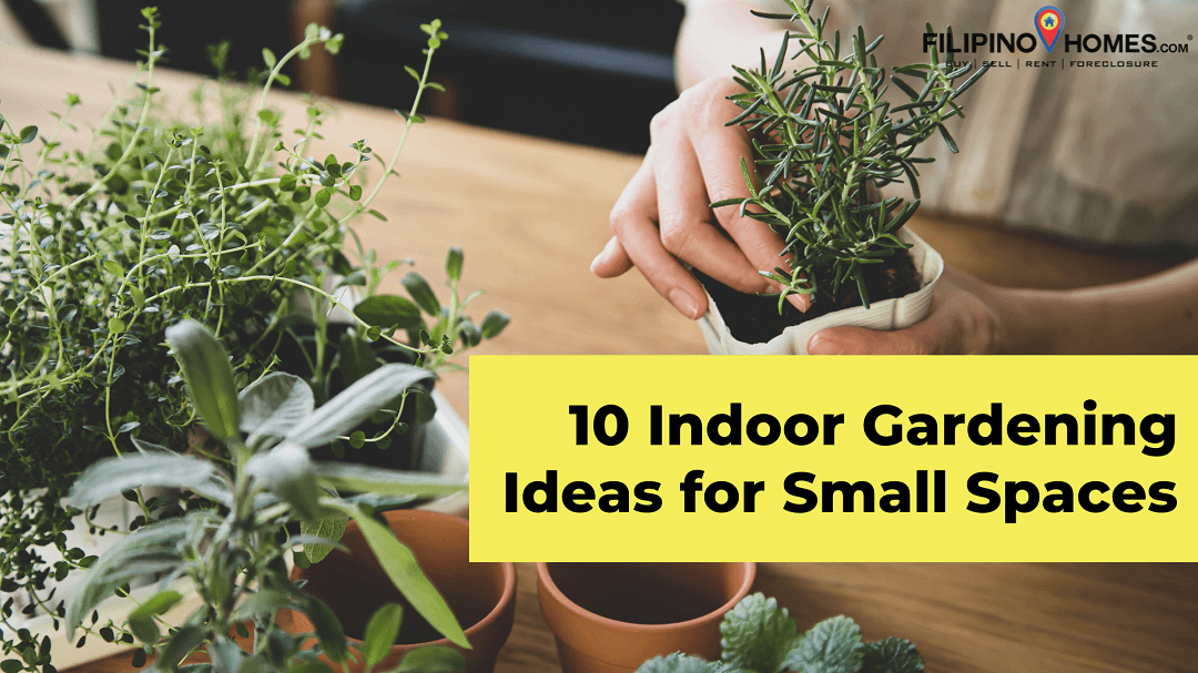 10 Indoor Gardening Ideas for Small Spaces