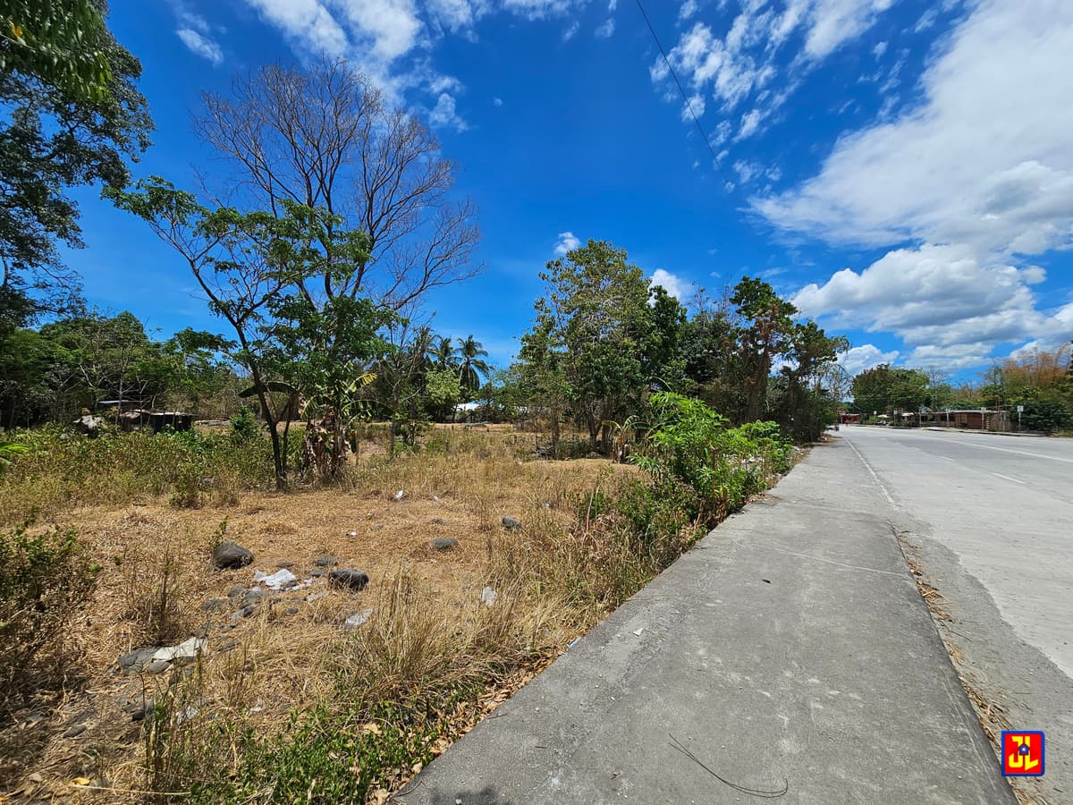 Commercial Lot For Sale Along Diversion Road Magatas, Sibulan [available] - photo 1
