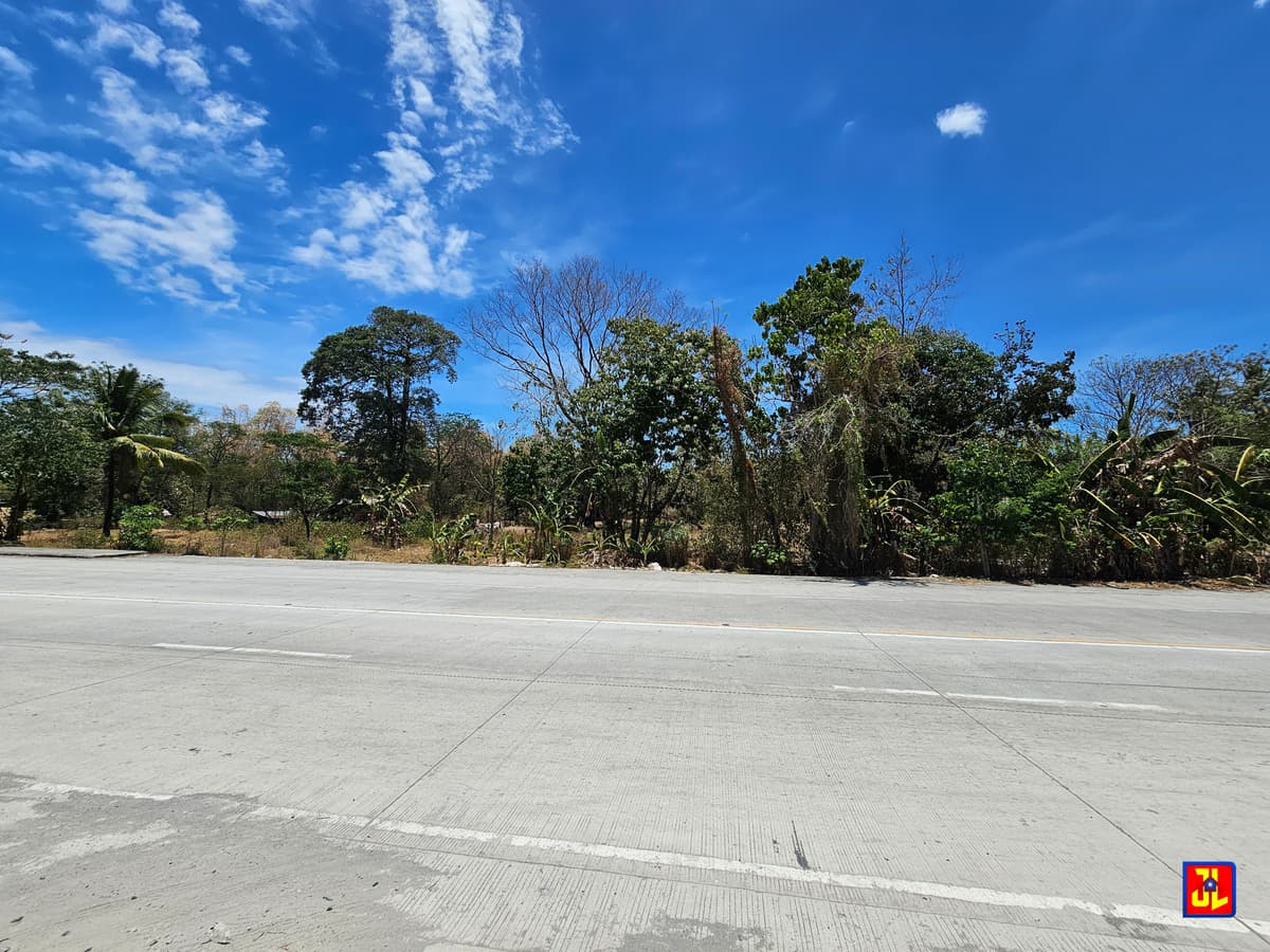 Commercial Lot For Sale Along Diversion Road Magatas, Sibulan [available] - photo 4