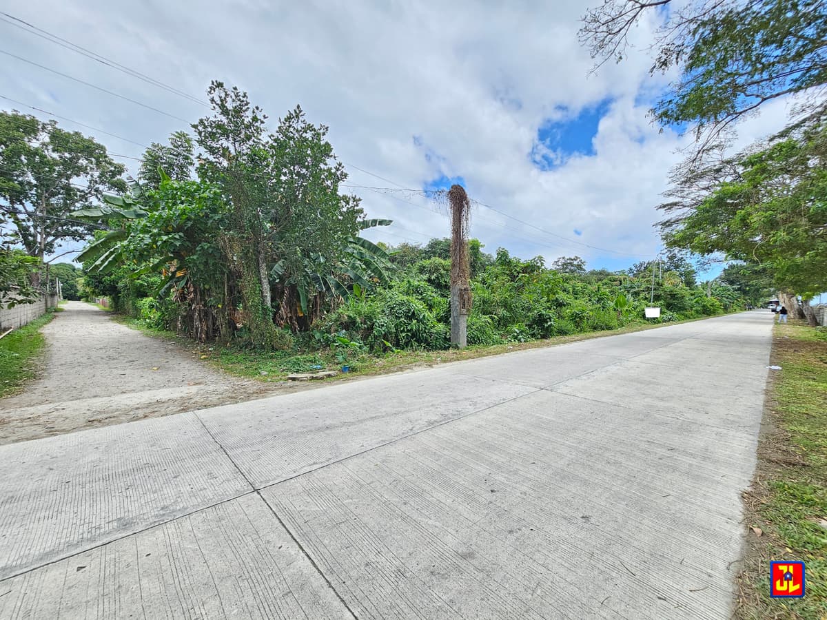 Rush Sale! Amazing Commercial Lot beside Airport Agan-an, Sibulan [available] - photo 2