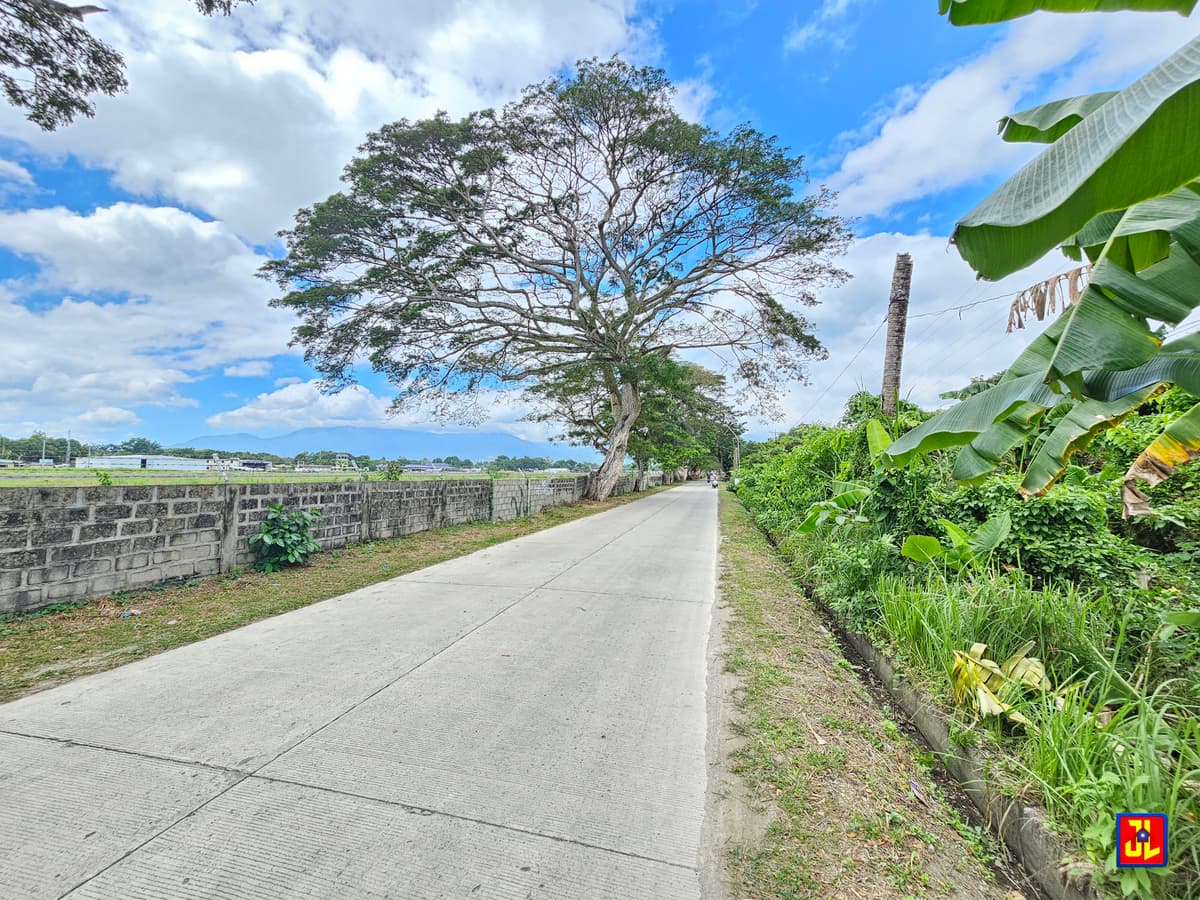Rush Sale! Amazing Commercial Lot beside Airport Agan-an, Sibulan [available] - photo 1