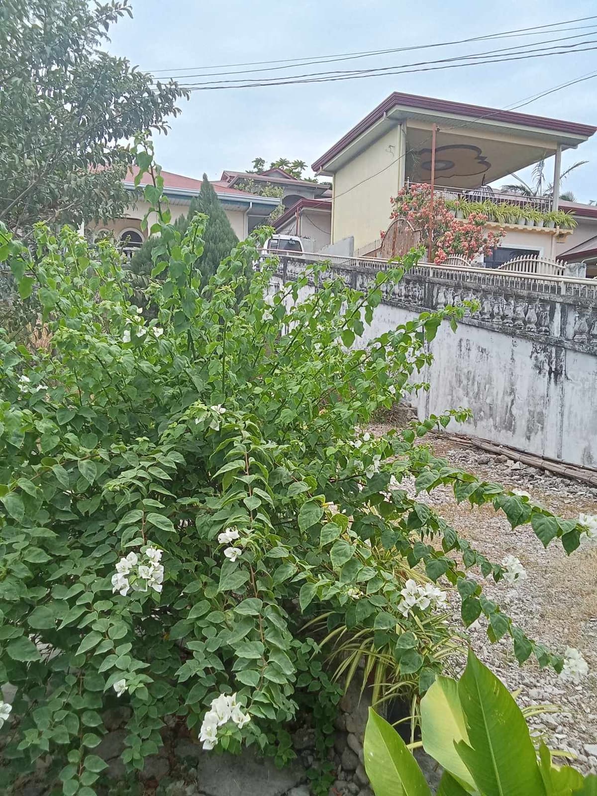 Lot for lease in Poblacion San Fernando Cebu - photo 3