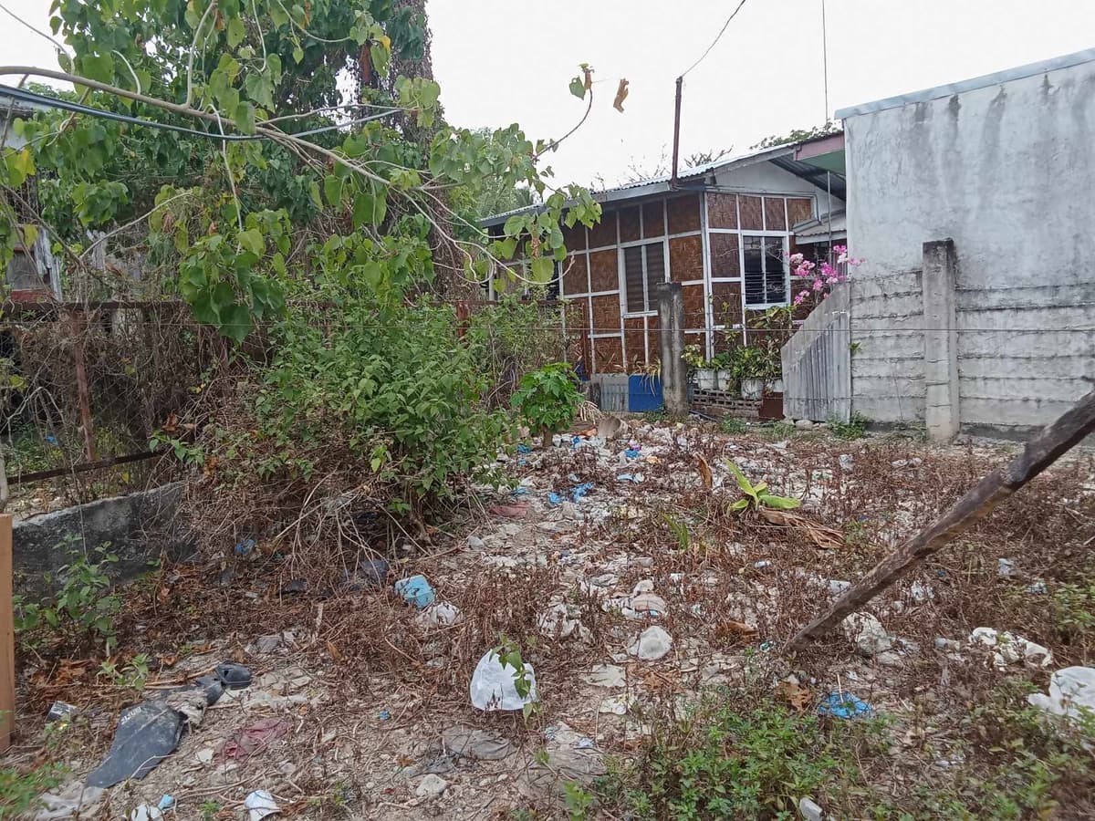 Lot for lease in Poblacion San Fernando Cebu - photo 1