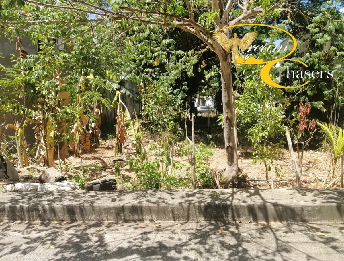 127 sqm Lot Only in Pulang-bato - photo 4