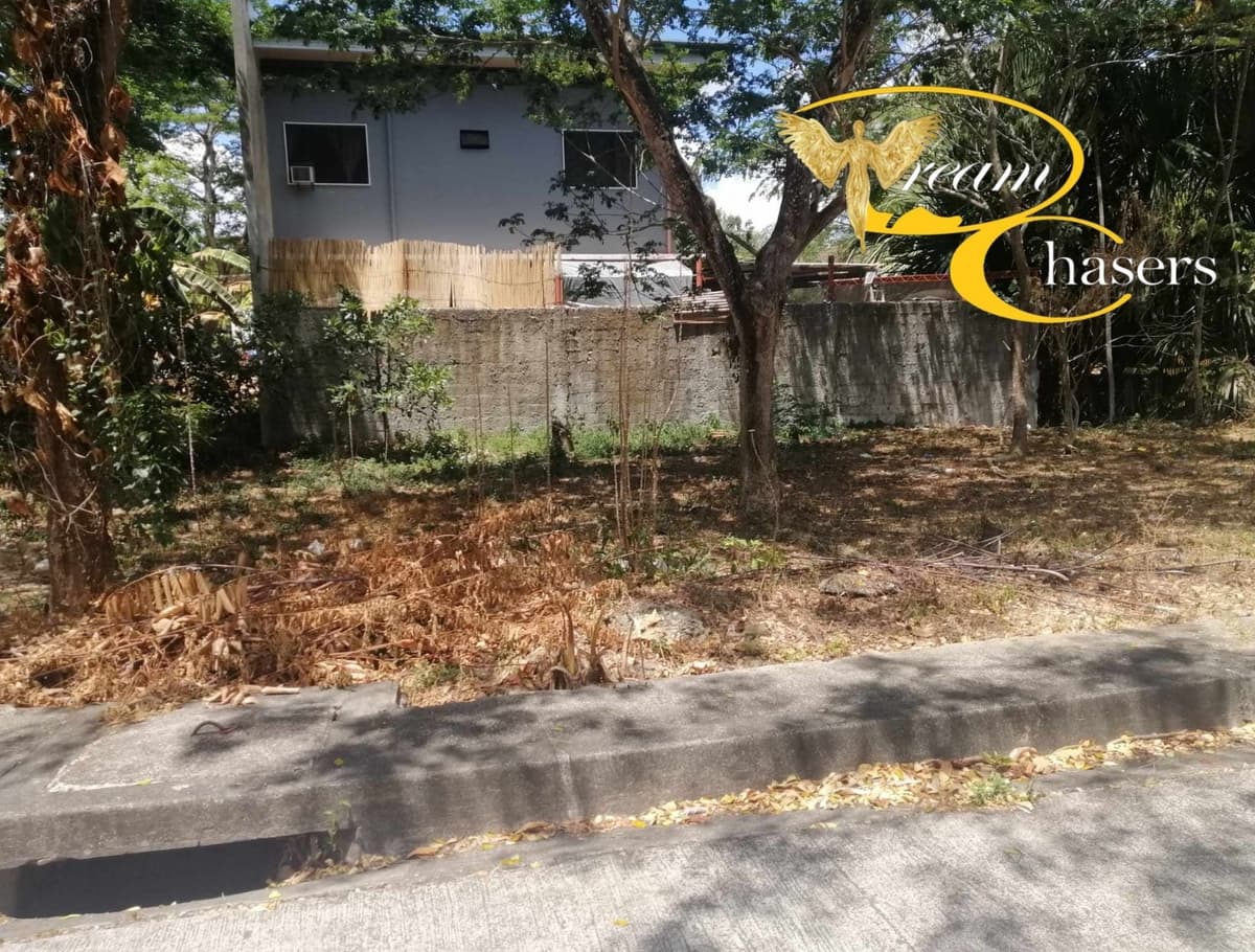 127 sqm Lot Only in Pulang-bato - photo 5