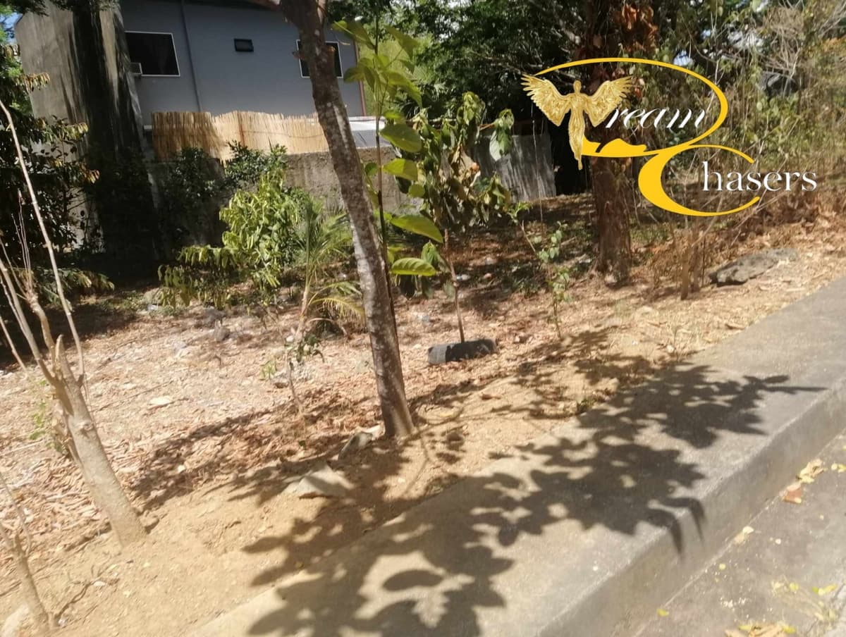 127 sqm Lot Only in Pulang-bato - photo 3