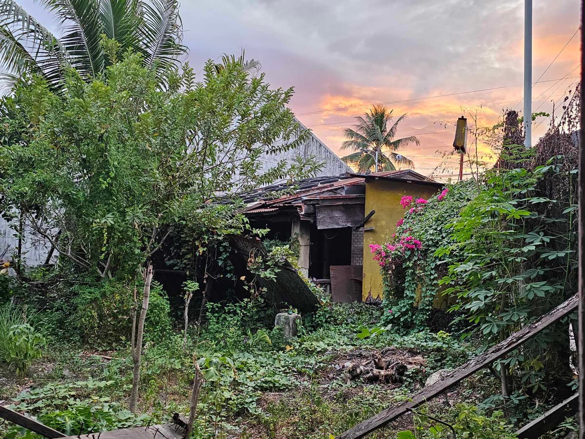 LOT ONLY FOR SALE AT THE HEART OF DANAO CITY! - photo 2