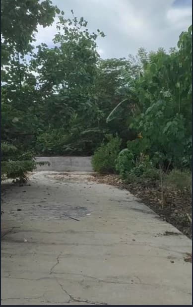 Residential Lot in a Subdivision - photo 3