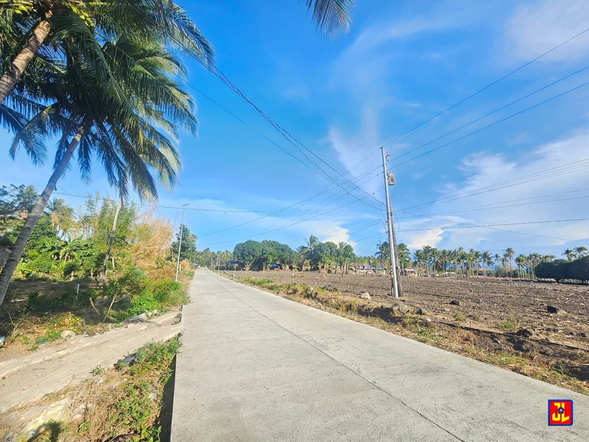 Amazing Lot for Sale in Maayongtubig, Dauin [available] - photo 1