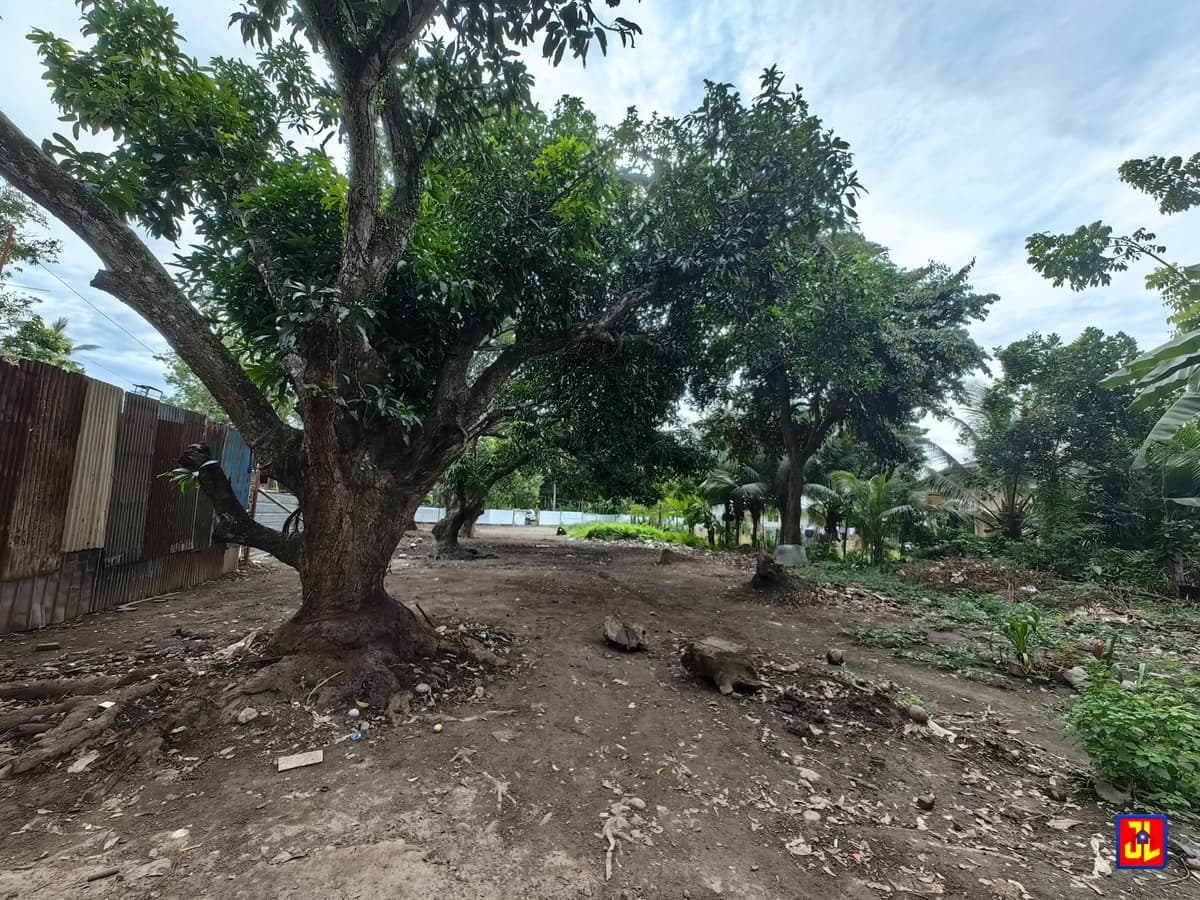 Rush Sale Commercial Lot in Batinguel, Dumaguete [available] - photo 2