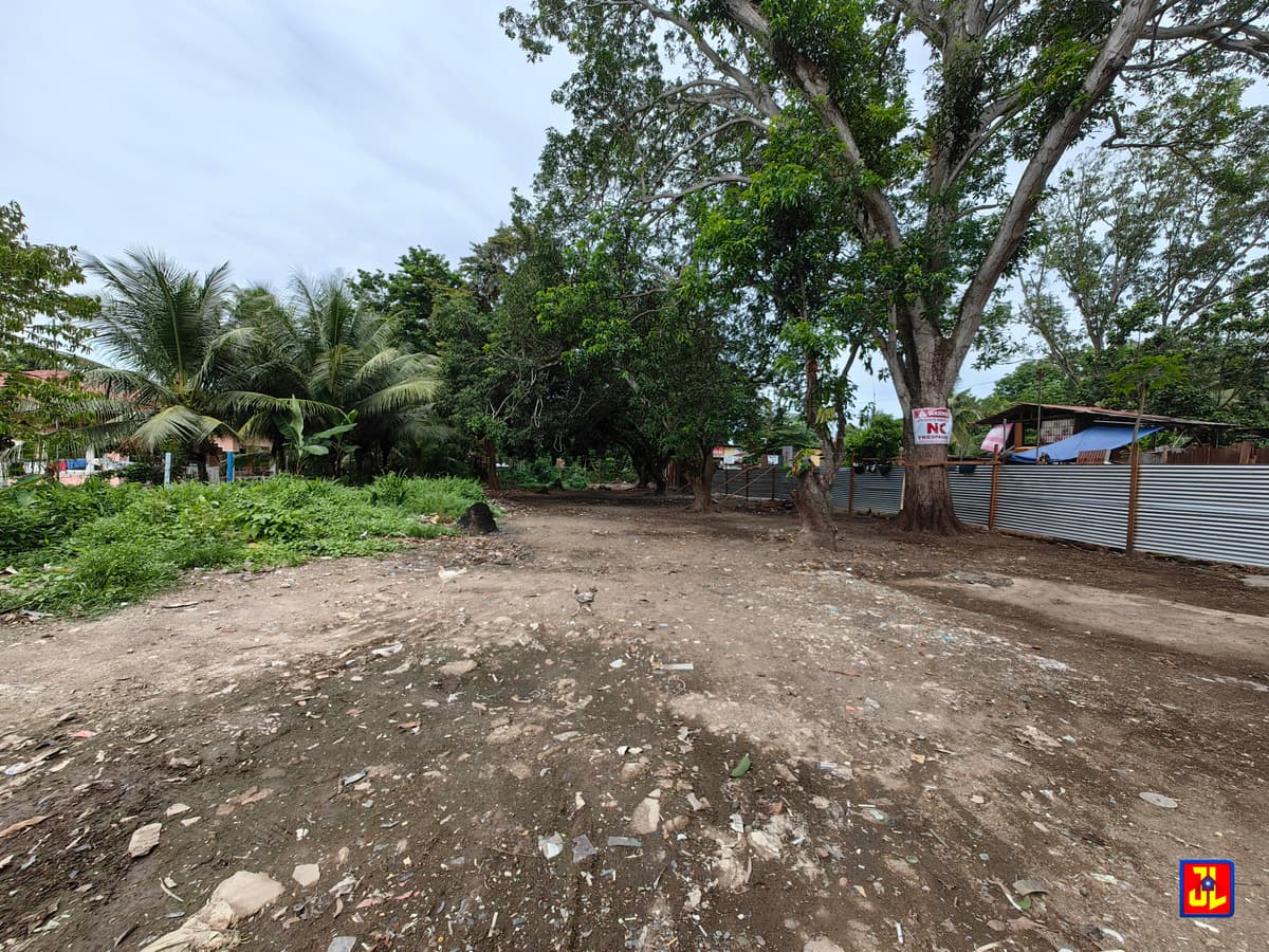 Rush Sale Commercial Lot in Batinguel, Dumaguete [available] - photo 4