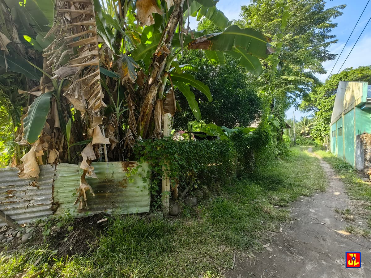 Rush Sale Lot in Batinguel, Dumaguete [available] - photo 2