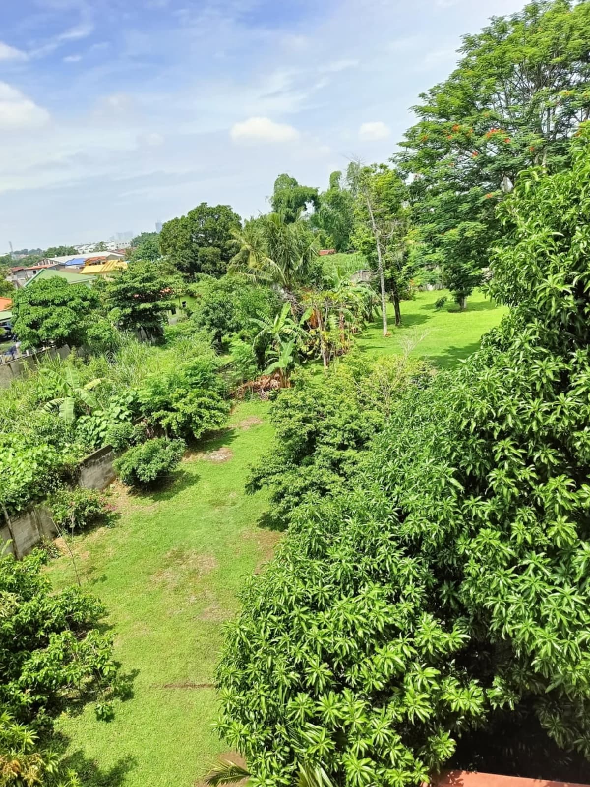 3 STOREY BUILDING WITH ROOF TOP AND  5 APARTMENT UNITS FOR SALE - photo 3