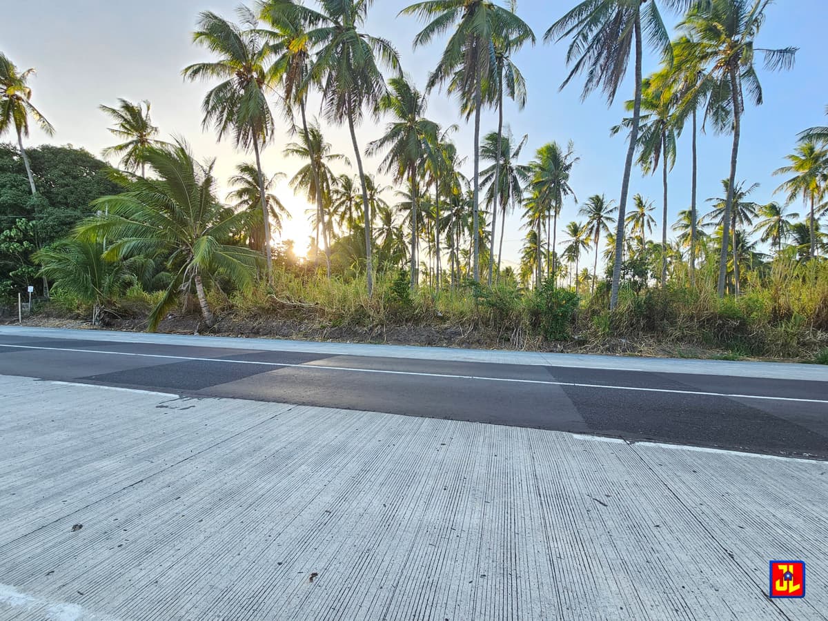 Rush Sale Amazing Commercial Lot Along National Highway Masaplod, Dauin [available] - photo 1