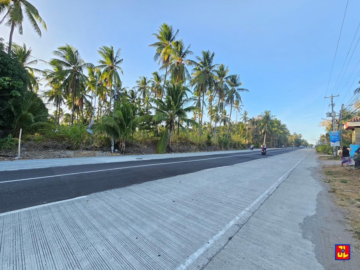 Rush Sale Amazing Commercial Lot Along National Highway Masaplod, Dauin [available] - photo 3
