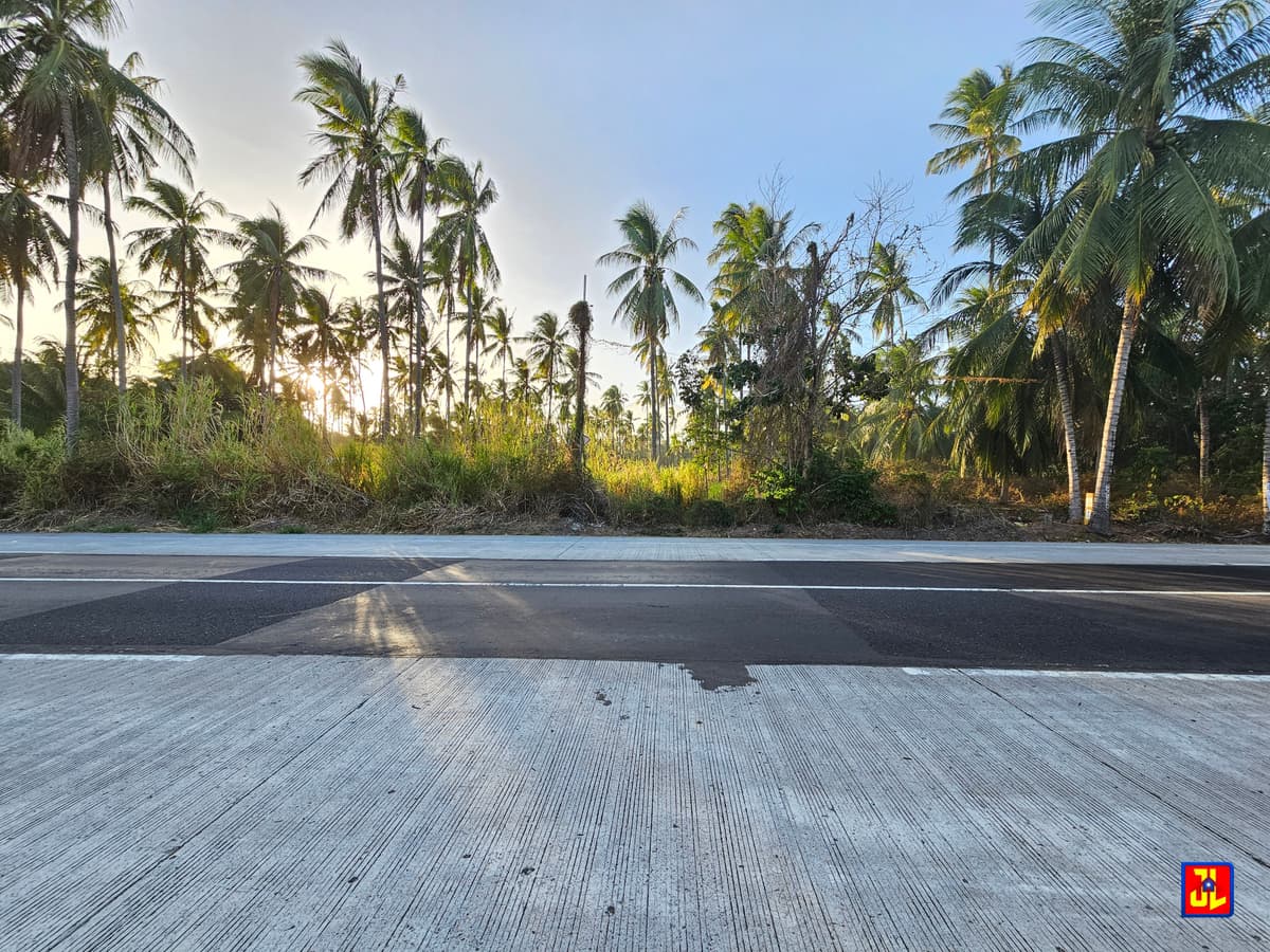 Rush Sale Amazing Commercial Lot Along National Highway Masaplod, Dauin [available] - photo 2