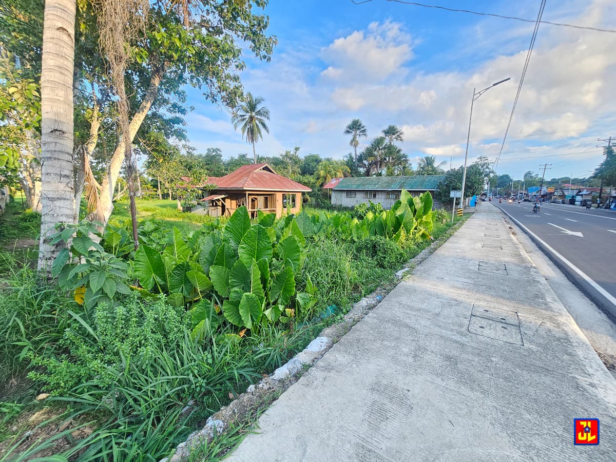 Amazing Sale! National Highway Commercial Lot in Banilad, Bacong! [available] - photo 3
