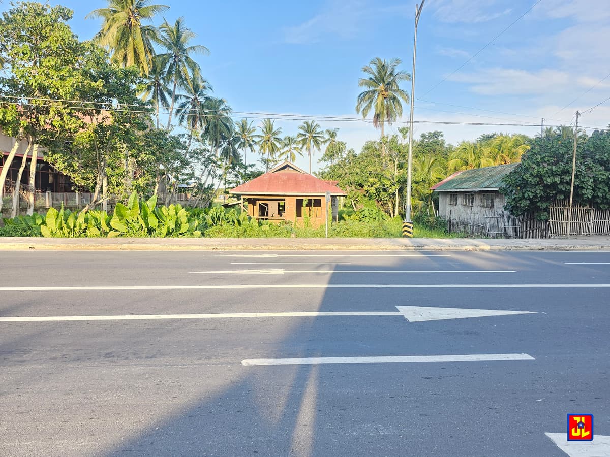 Amazing Sale! National Highway Commercial Lot in Banilad, Bacong! [available] - photo 1