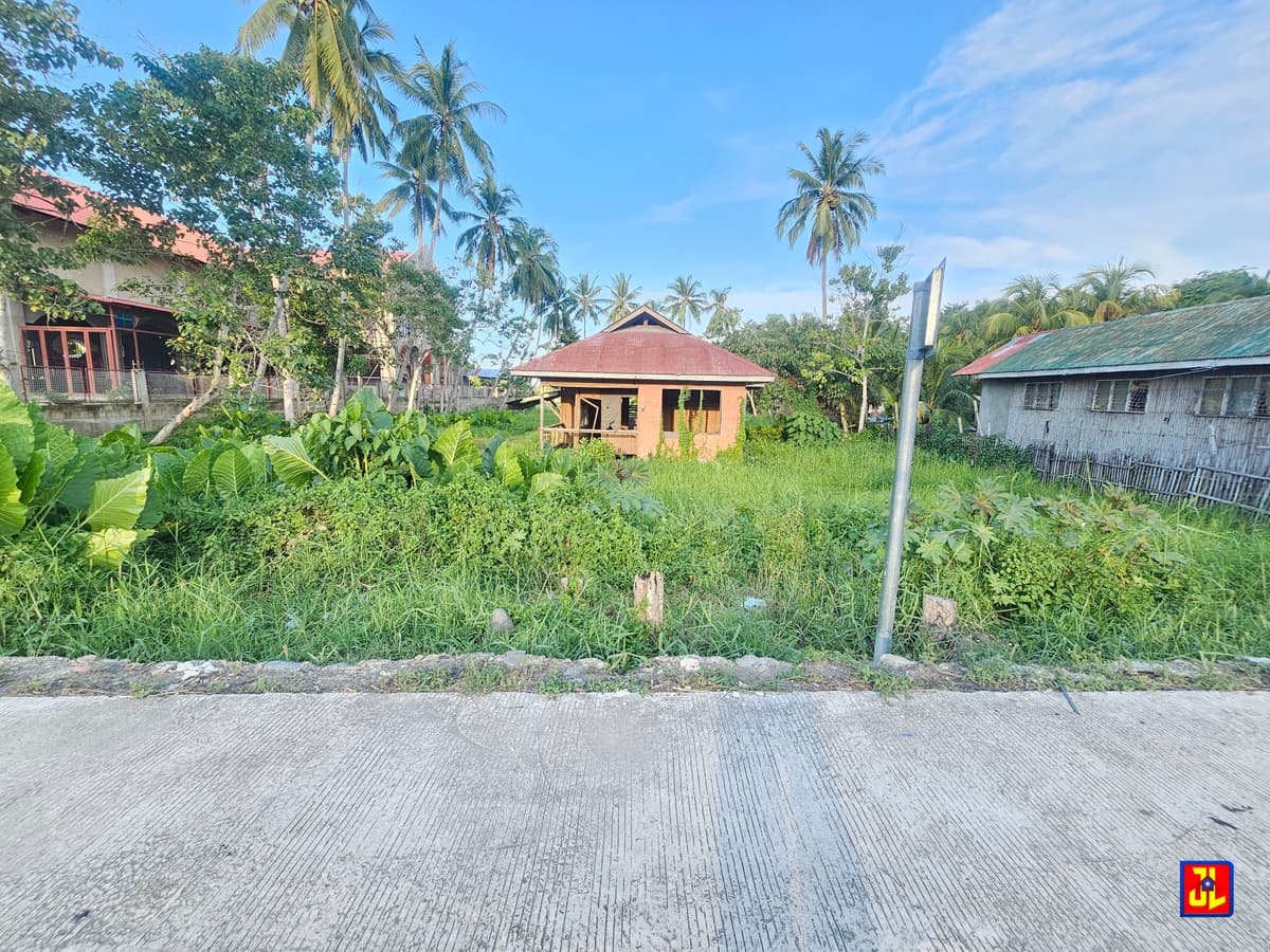Amazing Sale! National Highway Commercial Lot in Banilad, Bacong! [available] - photo 2