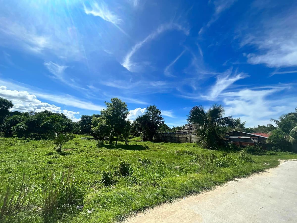 LOT ONLY FOR SALE @ San Vicente, Liloan - photo 4