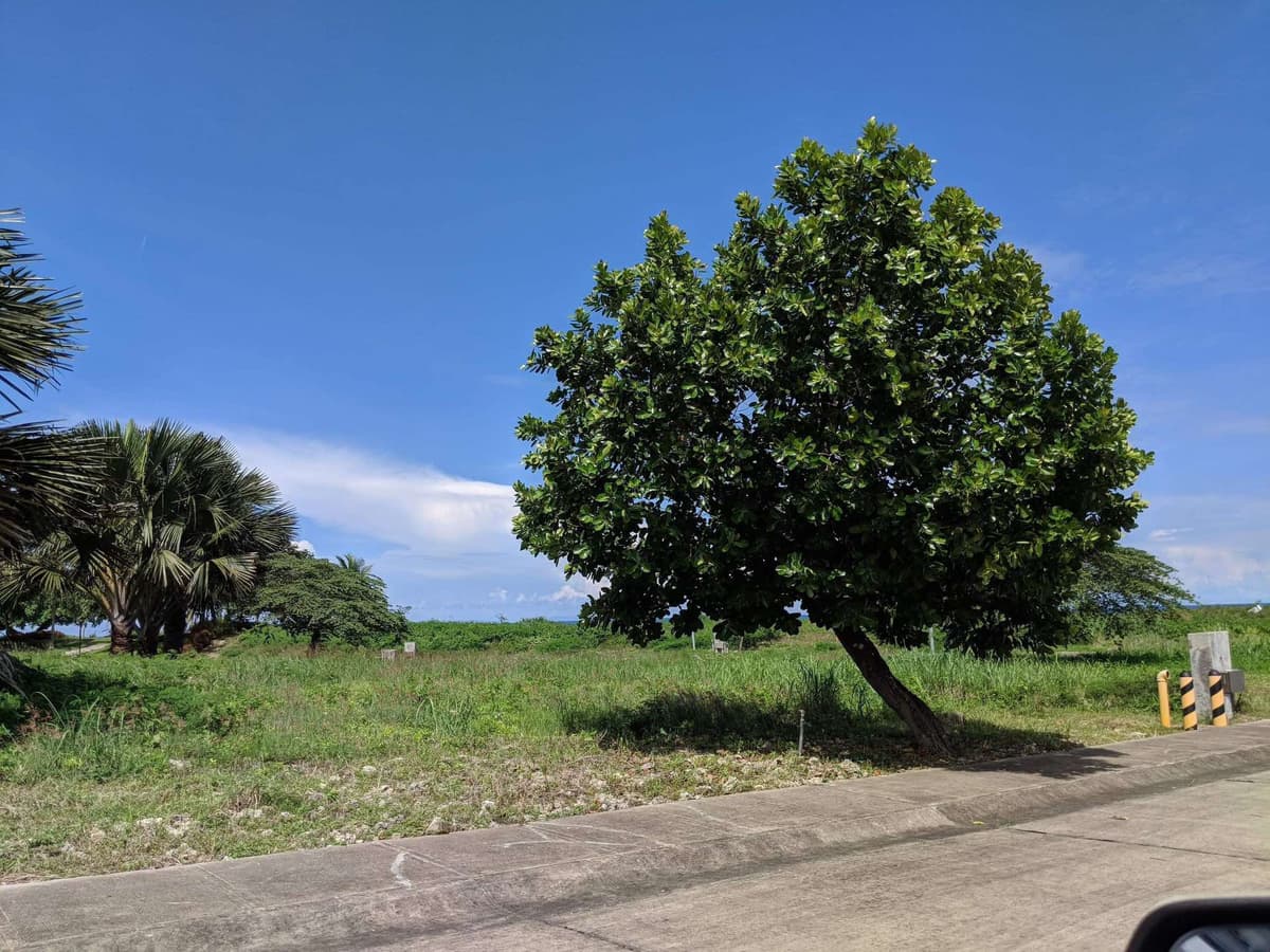 AMARA NORTH LILOAN LOT FOR SALE - photo 2