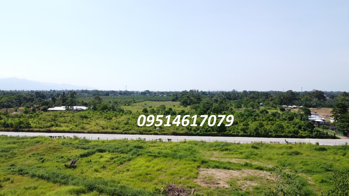 Prime 4,000 sqm Lots in Thriving Tagum City: A Golden Investment Opportunity - photo 1