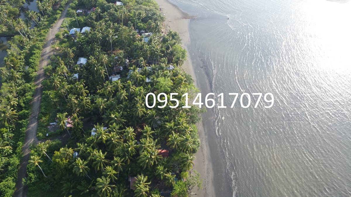 905 sqm Beachline Property in Busaon, Tagum City: Your Dream Beachfront Awaits - photo 5