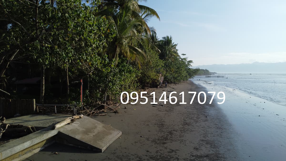 905 sqm Beachline Property in Busaon, Tagum City: Your Dream Beachfront Awaits - photo 3