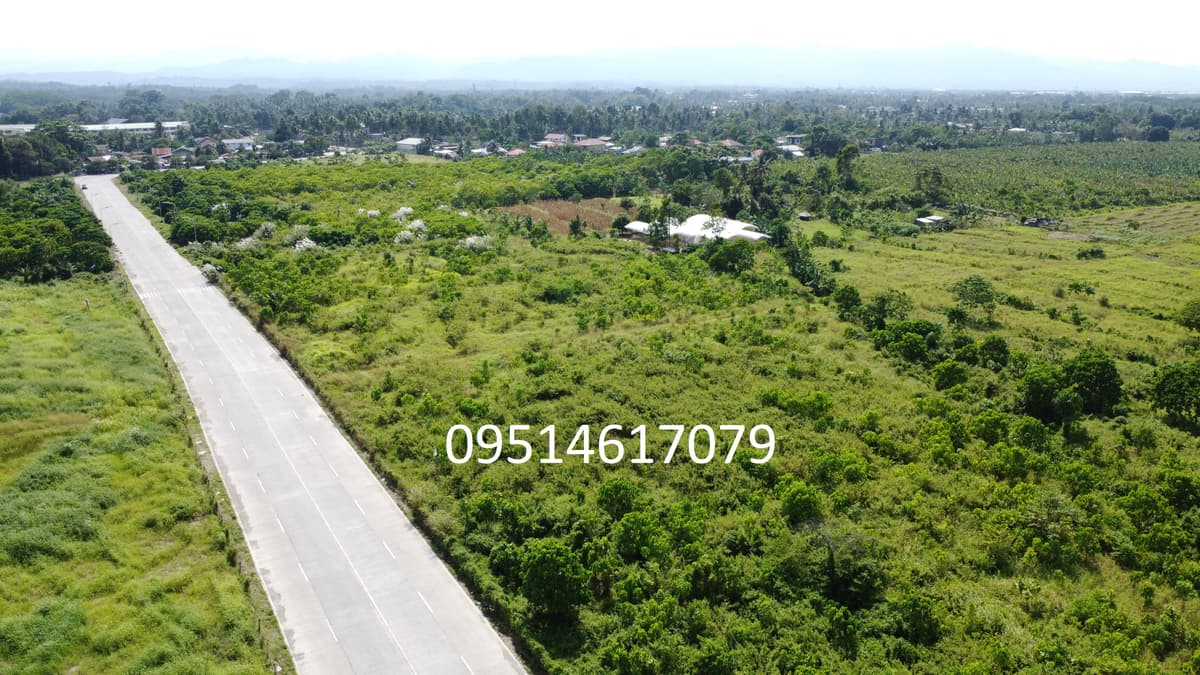 Prime 1,000 sqm Lots in Thriving Tagum City: A Golden Investment Opportunity - photo 3