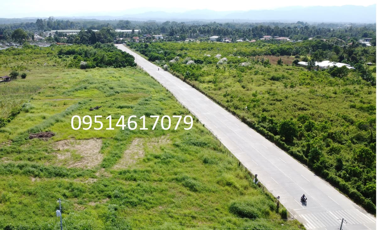 Prime 1,000 sqm Lots in Thriving Tagum City: A Golden Investment Opportunity - photo 4