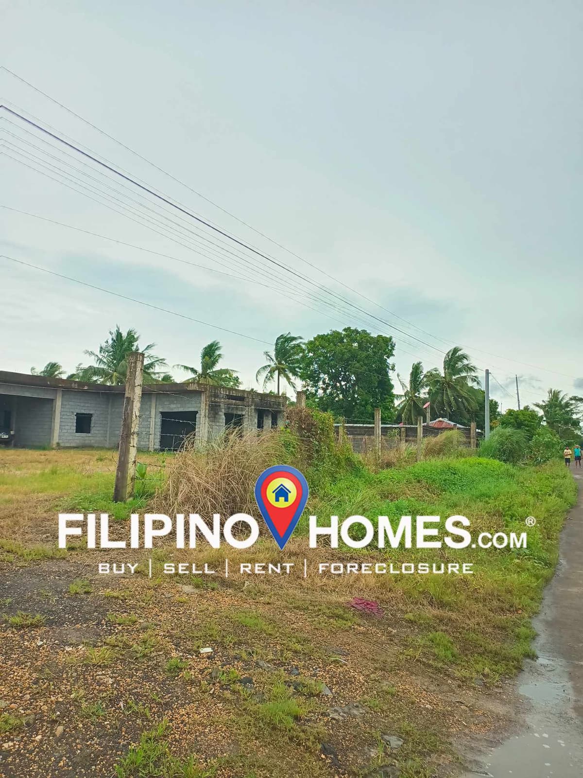 Along the Road Lot with Building for Lease in Pili - photo 1