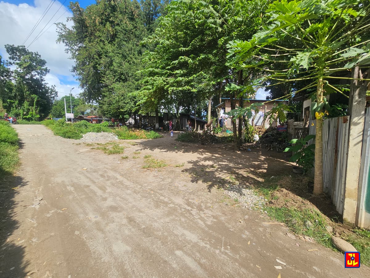 Rush Sale 2nd Lot from Diversion Road Batinguel, Dumaguete [available] - photo 2