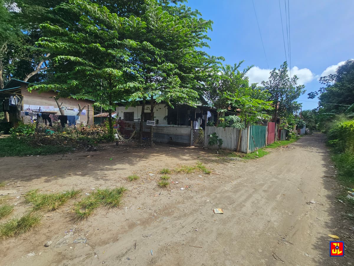 Rush Sale 2nd Lot from Diversion Road Batinguel, Dumaguete [available] - photo 1