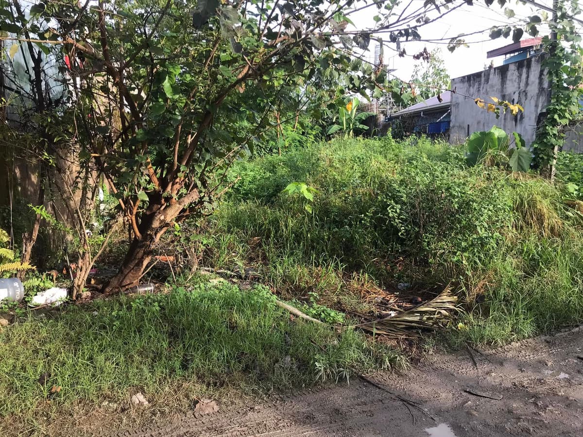 Lot for Sale in Minglanilla - photo 3