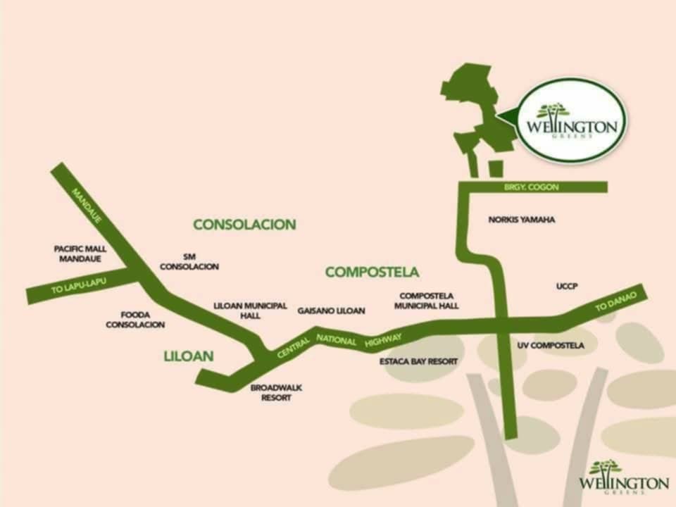 For Sale The Wellington Greens Cogon, Compostela, Cebu - photo 6