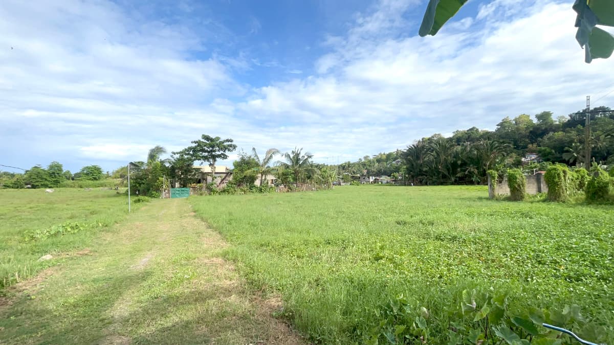 Lot for Sale - photo 2