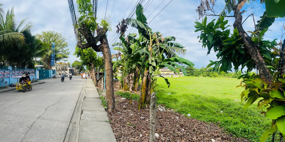 Lot for Sale - photo 5