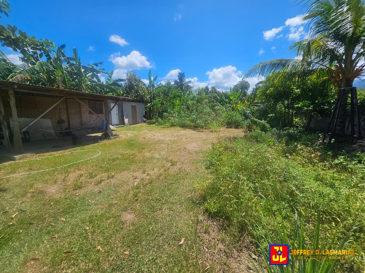 Rush Sale! 1,098sqm Lot in Calabnugan, Sibulan [available] - photo 4