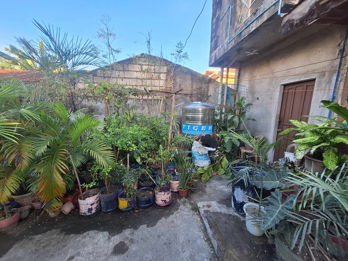 Main House: BUNGALOW WITH 4 BEDROOMS AND 3 DOOR APARTMENT - photo 4