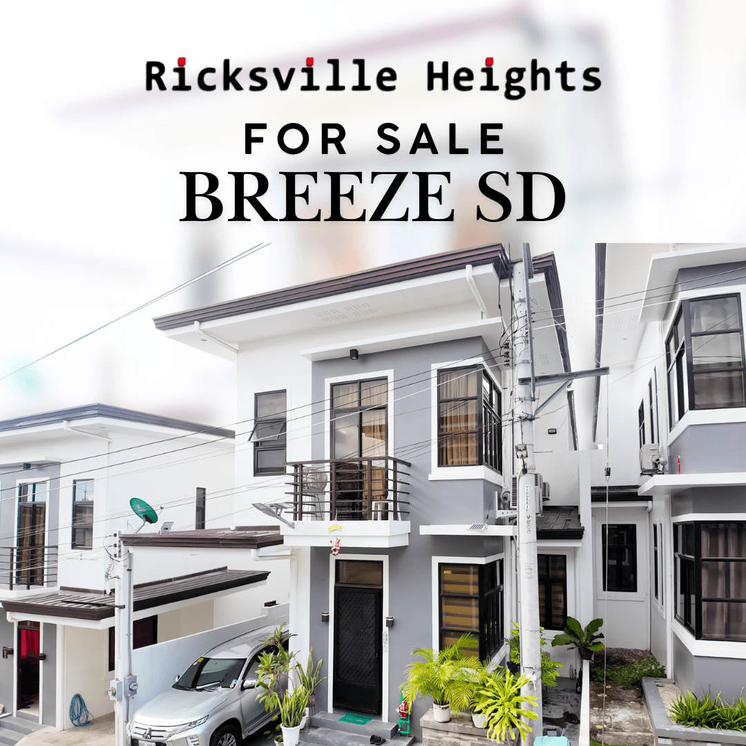 Fully Furnished Single detached in Minglanilla for sale - photo 1