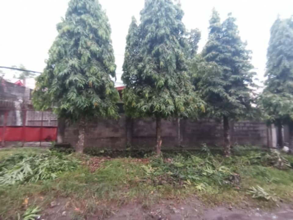 Hermilinda Homes - photo 5