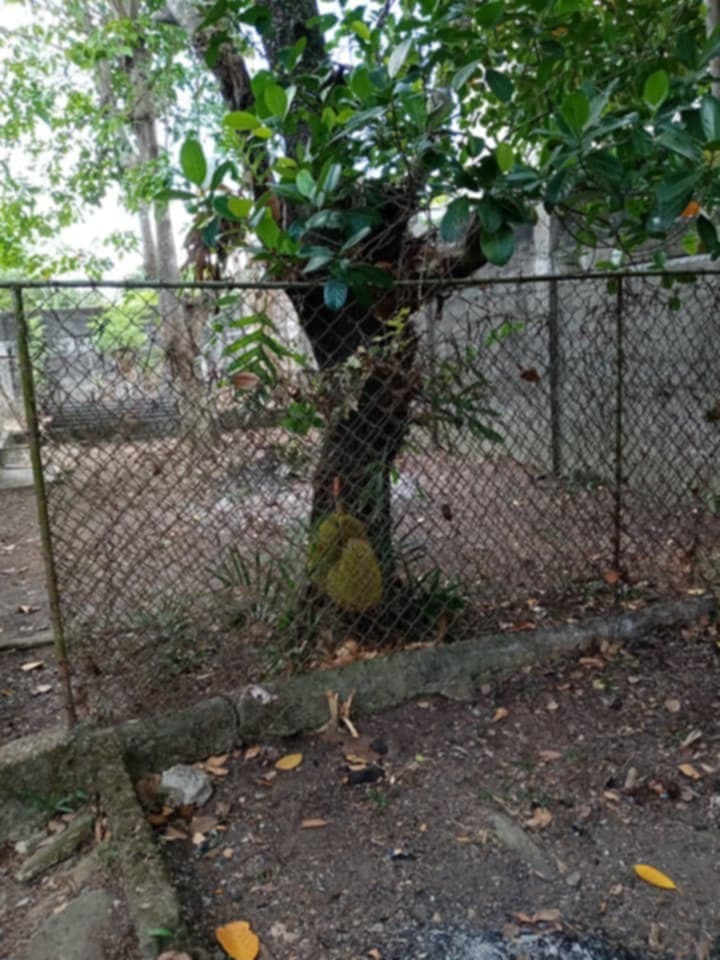 Hermilinda Homes - photo 6