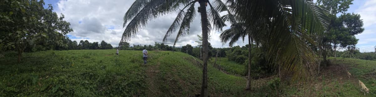 ORMOC FARM LOT FOR SALE - photo 4