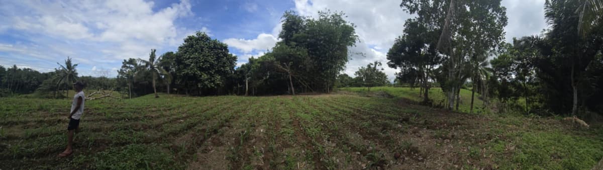 ORMOC FARM LOT FOR SALE - photo 5