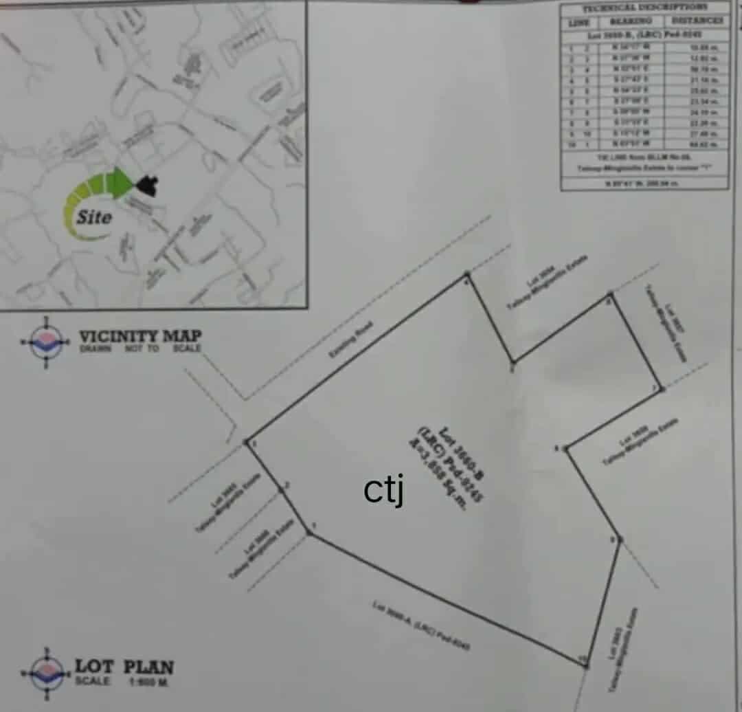Lot For Sale at Talisay City - photo 2