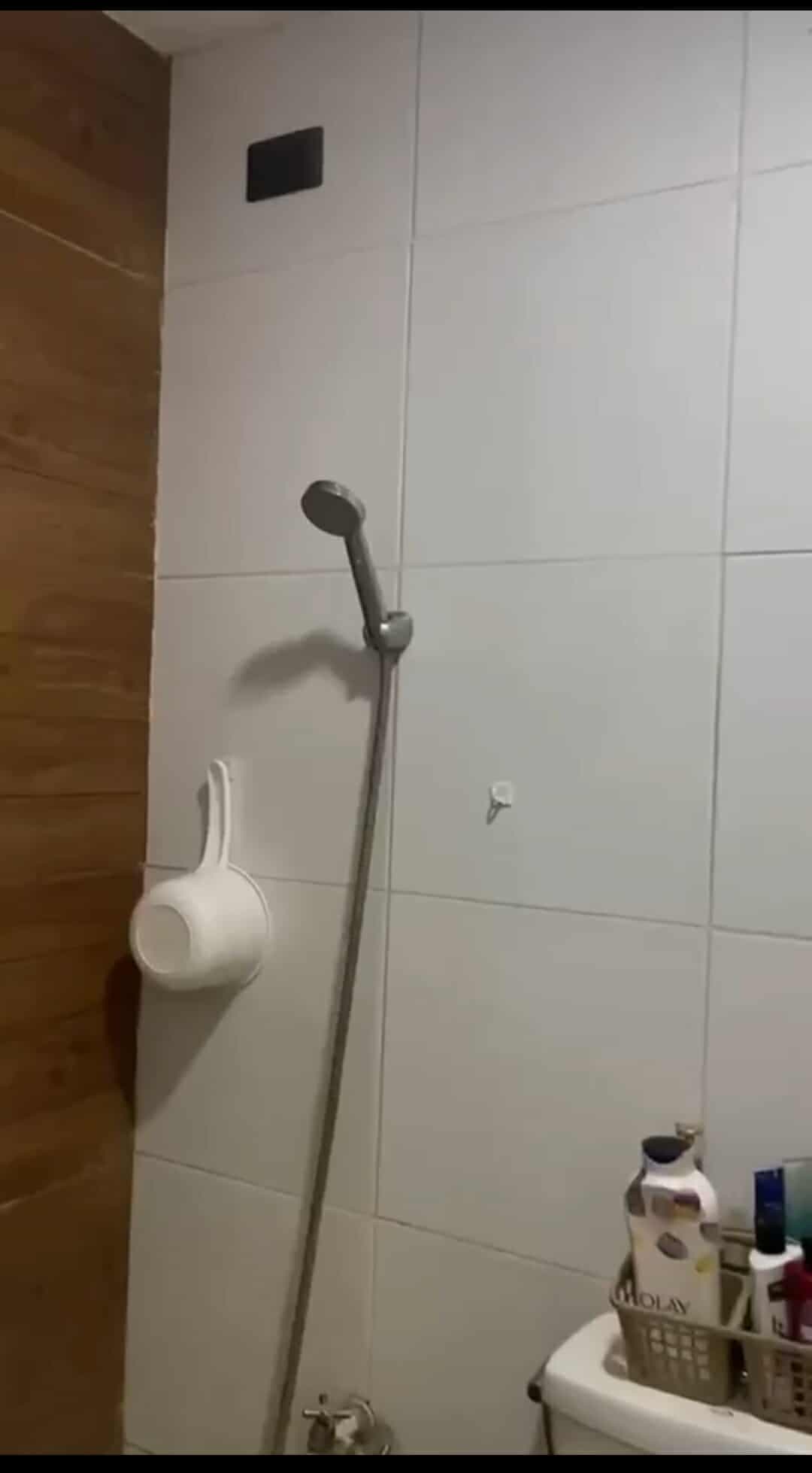 Deca Homes Grandvale III  Townhouse in Naga City - photo 5