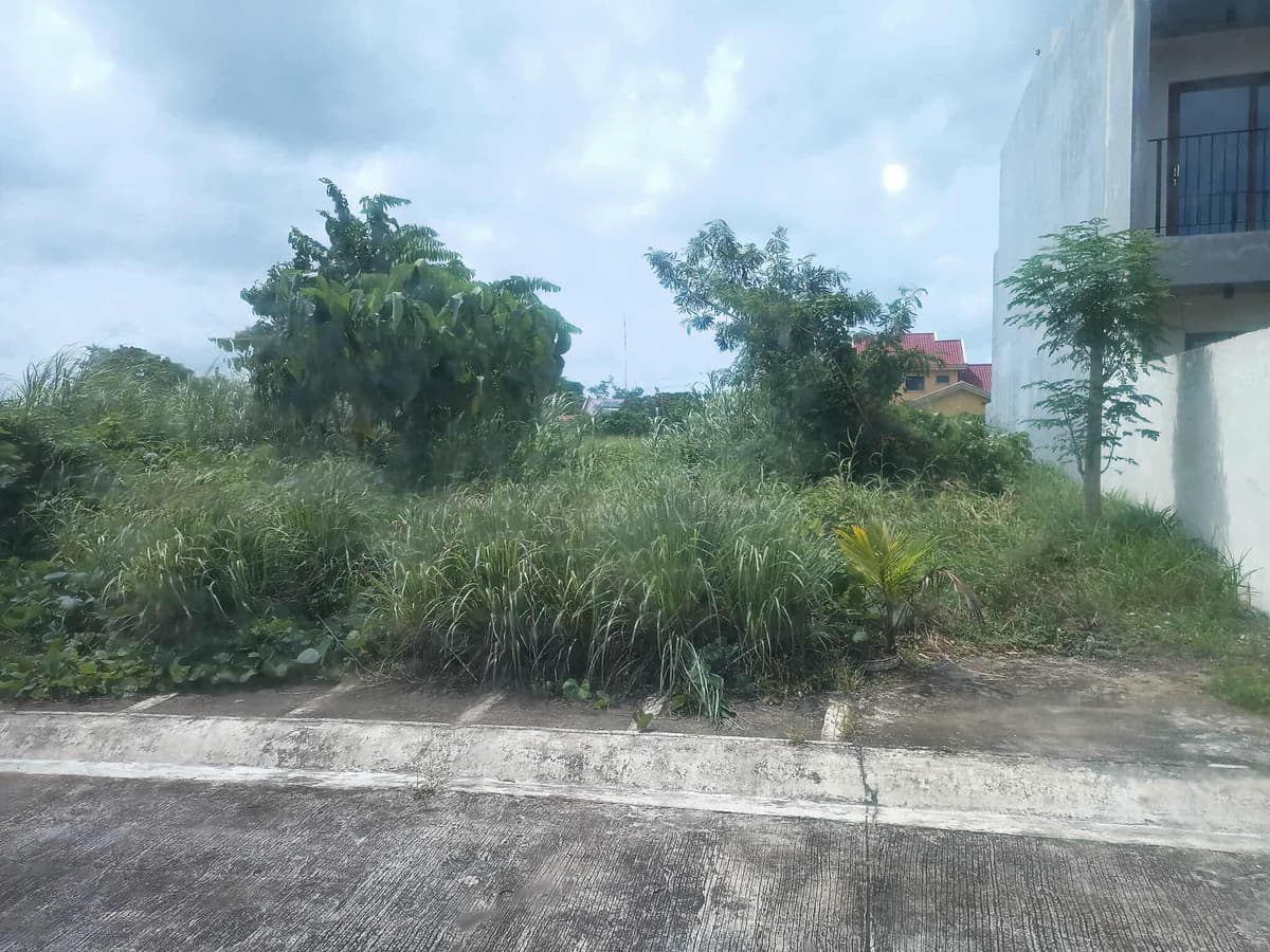 Residential Lot for Sale near Primus Resort - photo 3