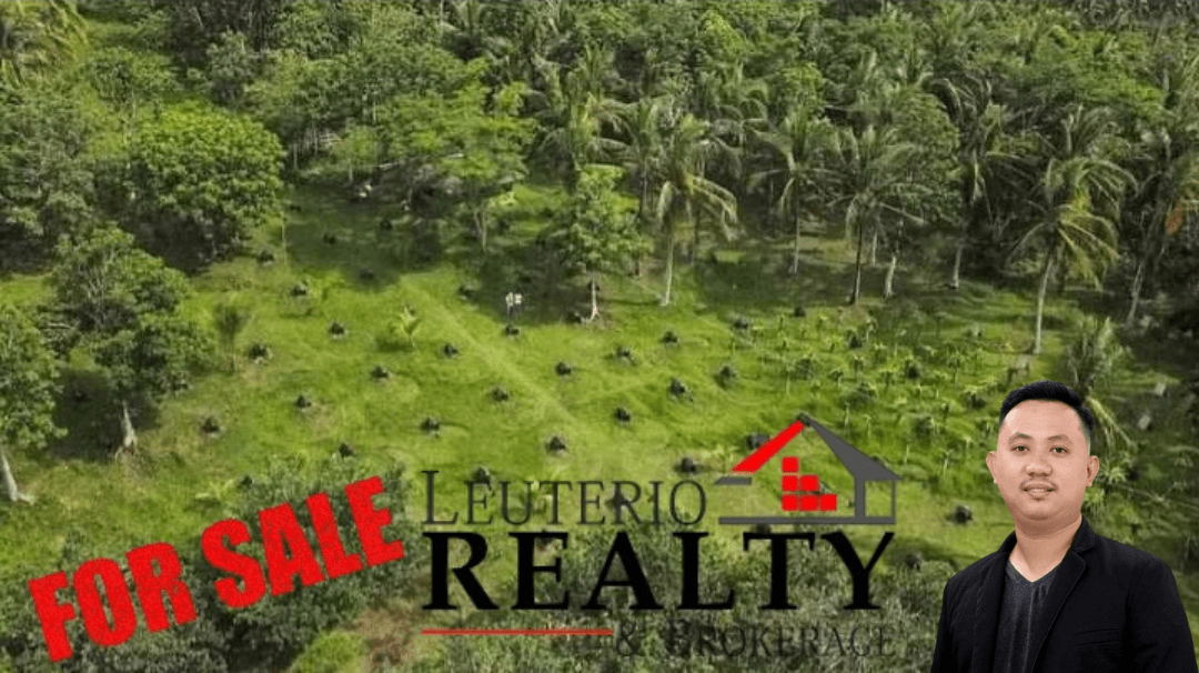 20,000 SQ.M. (Agricultural/Residential/Industrial) LOT - photo 5