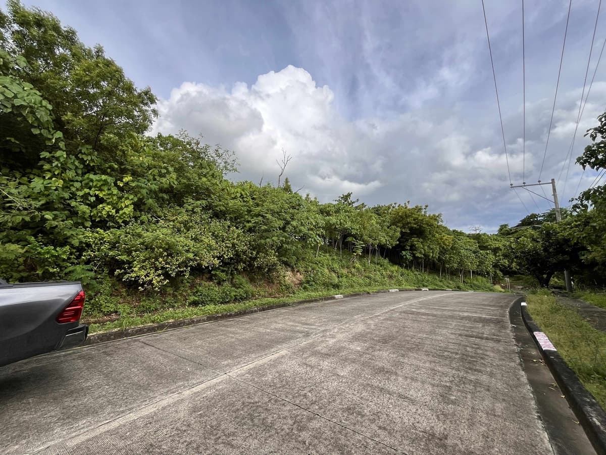 MARIA LUISA NORTH HERITAGE MANDAUE RESIDENTIAL LOT - photo 7