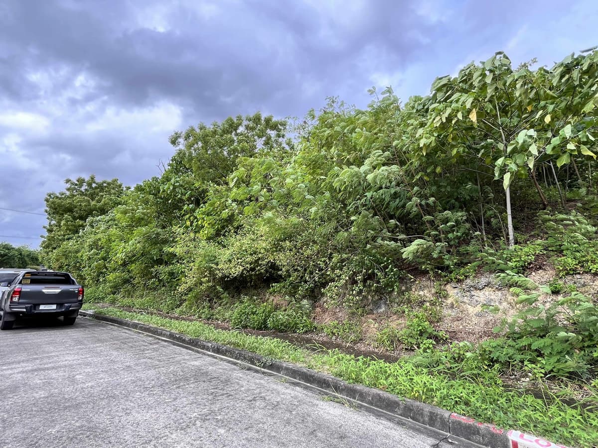 MARIA LUISA NORTH HERITAGE MANDAUE RESIDENTIAL LOT - photo 6